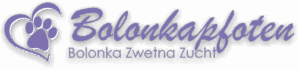 cropped logo.png